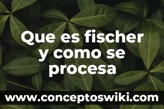 Qué es recurrente en economía 4 Que es fischer y como se procesa