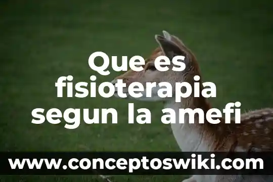Qué es la salud sexual y reproductiva según la OMS 8 Que es fisioterapia segun la amefi
