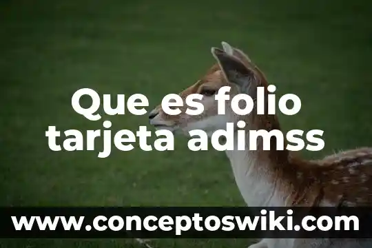 Alias que es en una tarjeta 5 Que es folio tarjeta adimss