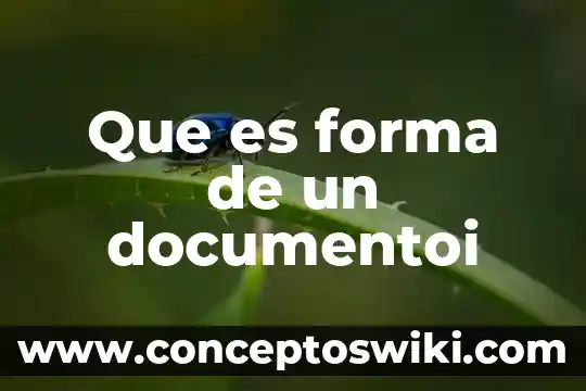 Que es la forma de relieve 4 Que es forma de un documentoi