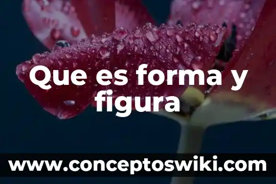 Que es una figura educativa 5 Que es forma y figura