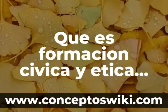 Que es la libertad libro de formacion civica y etica 8 Que es formacion civica y etica en normas apa