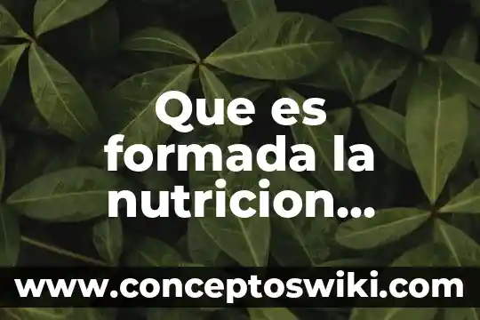 Que es una fuente de energia en nutricion animal 5 Que es formada la nutricion heterotrofa parasitaria