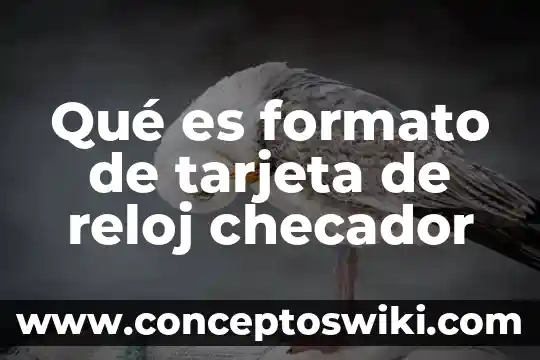 Que es el reloj de sol tlacochahuaya 7 Qué es formato de tarjeta de reloj checador