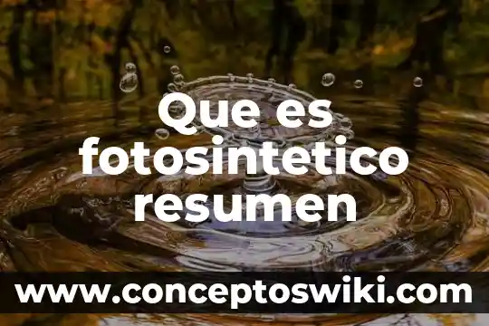 Resumen escrito que es 8 Que es fotosintetico resumen