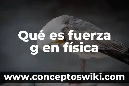 Punto g mujer que es 8 Qué es fuerza g en física