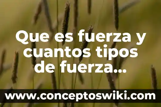 Qué es magnitud cuales y cuantos tipos de magnitud existen 8 Que es fuerza y cuantos tipos de fuerza existen