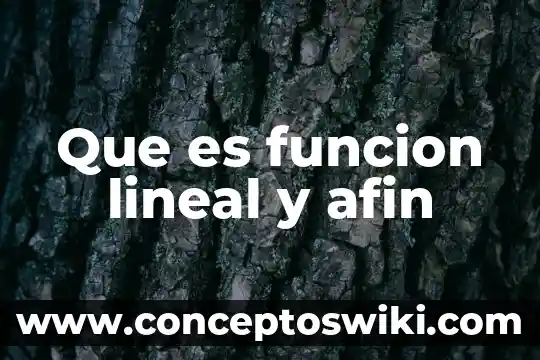 Que es modelo de regresion lineal 7 Que es funcion lineal y afin