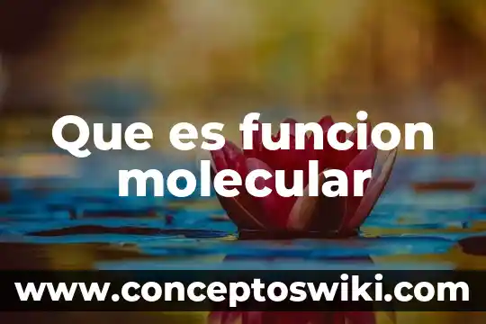 Qué es la función ecolo 5 Que es funcion molecular