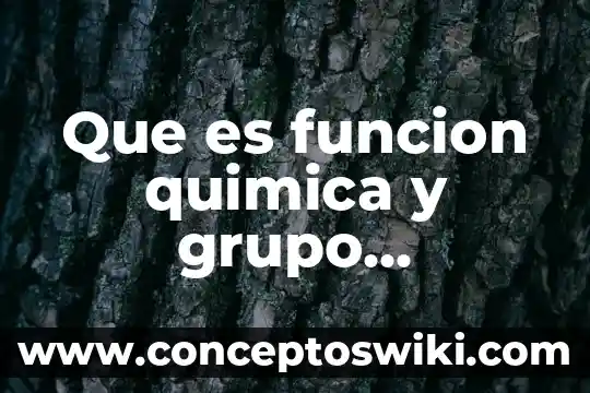 Preguntas abiertas en que es un grupo de enfoque 3 Que es funcion quimica y grupo funcional ejemplos