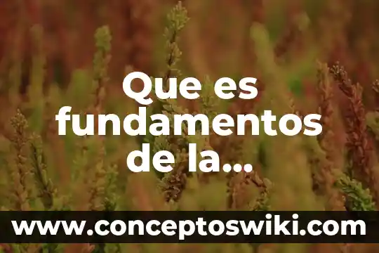 Que es fundamentos de fisica para viscosidad 3 Que es fundamentos de la educacion fisica