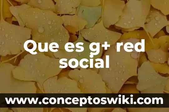 Punto g mujer que es 5 Que es g+ red social