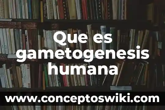 Que es la voluntad humana 8 Que es gametogenesis humana