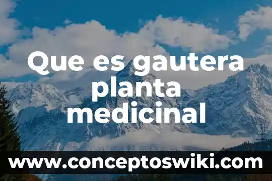 Que es el remolino como planta medicinal 3 Que es gautera planta medicinal