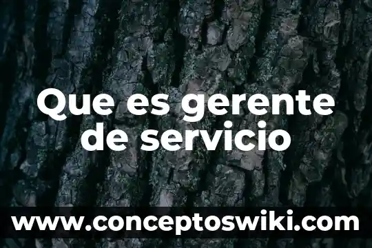 Que es lo que hace el gerente administrativo 3 Que es gerente de servicio