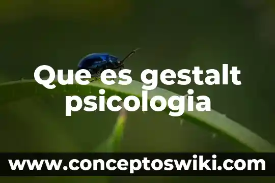 Ley de cerramiento gestalt que es 6 Que es gestalt psicologia