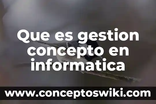 Nexos definicion que es significado concepto 6 Que es gestion concepto en informatica