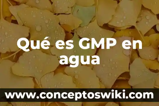 Para qué es el agua regia 3 Qué es GMP en agua