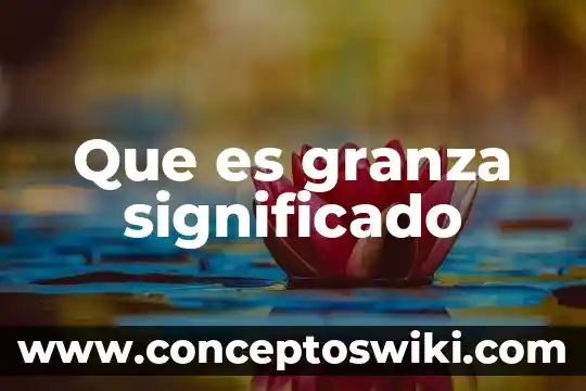 Que es un filtro en excel significado y consepto 7 Que es granza significado
