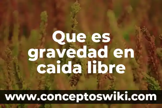 Qué es bueno para la caída del cabello y crecimiento 4 Que es gravedad en caida libre