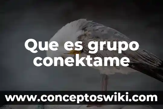 Que es un grupo de alimenticio 6 Que es grupo conektame