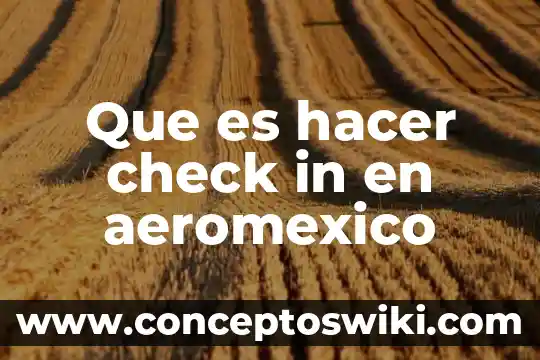 Que es hacer vocillos 7 Que es hacer check in en aeromexico