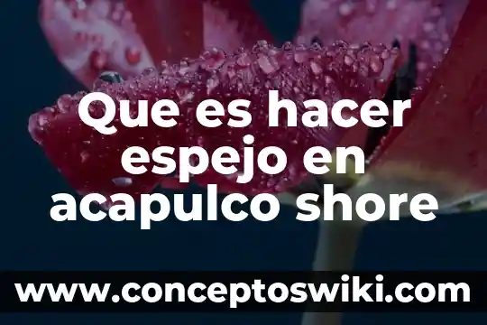 Que es el espejo social 4 Que es hacer espejo en acapulco shore