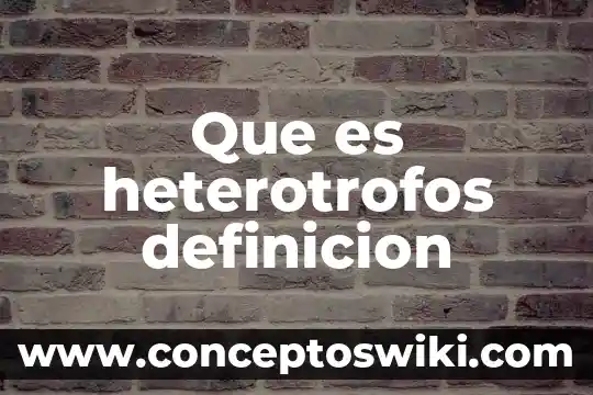 Qué es acero efervescente definición 4 Que es heterotrofos definicion