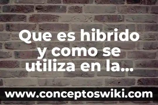 Qué es una romace de literatura 5 Que es hibrido y como se utiliza en la literatura