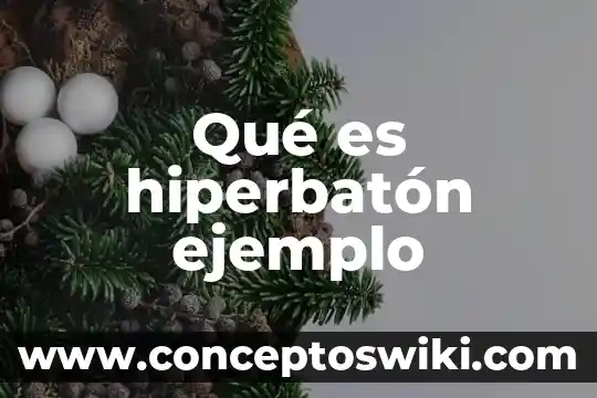 Que es magia definifion ejemplo y caracteristicas 6 Qué es hiperbatón ejemplo