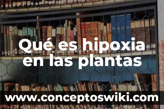 Que es fruto de las plantas 7 Qué es hipoxia en las plantas
