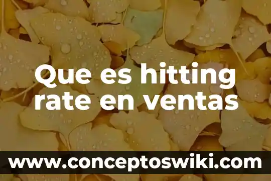 Que es estado de costos de produccion y ventas 8 Que es hitting rate en ventas