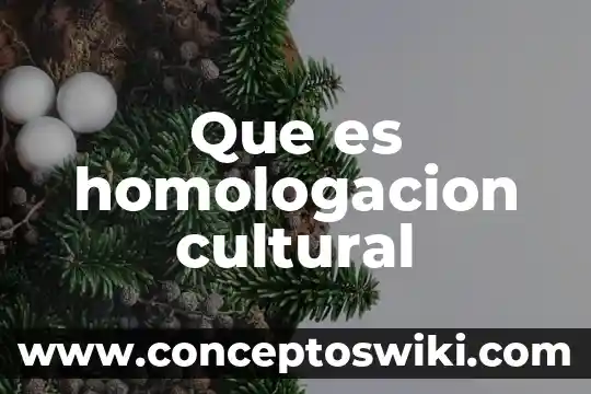 Animes shonen que es 8 Que es homologacion cultural