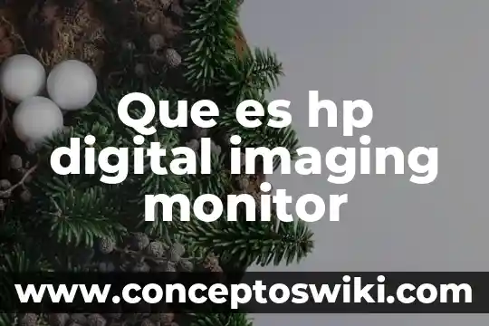 Qué es un osciloscopio digital 4 Que es hp digital imaging monitor