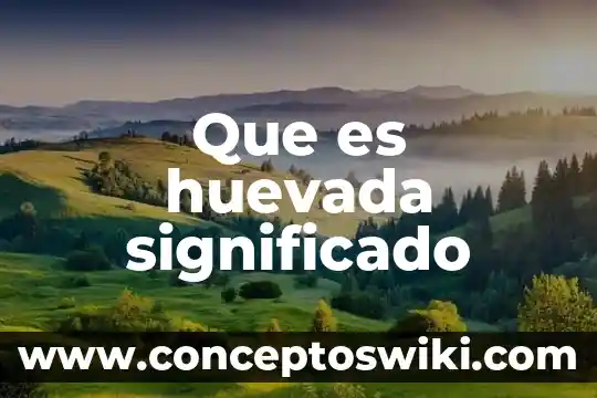 Significado del literal y figurados que es el significado 4 Que es huevada significado