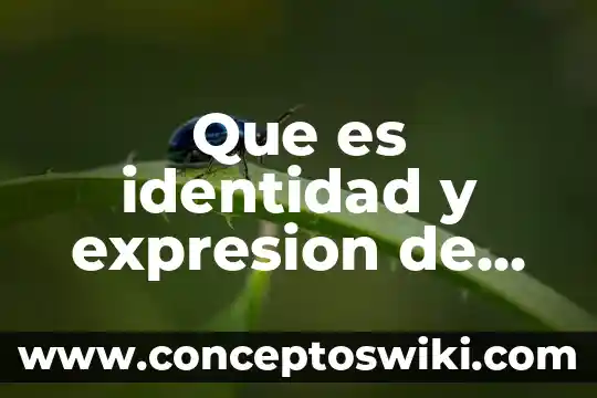 Que es la igualdad de genero en el ambito laboral 8 Que es identidad y expresion de genero