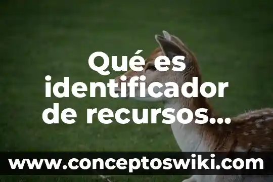 Que es el nombre o identificador de trabajo 6 Qué es identificador de recursos uniforme URI para niños