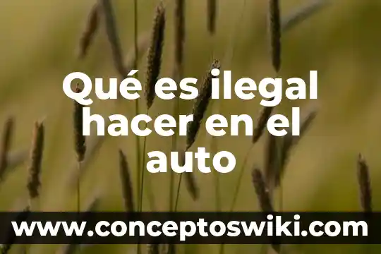Zumbador auto que es 3 Qué es ilegal hacer en el auto