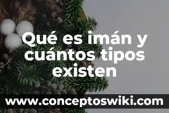 Que es una tabulación en word y que tipos hay 5 Qué es imán y cuántos tipos existen