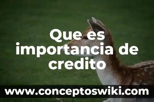 Qué es el fuego y su importancia 6 Que es importancia de credito