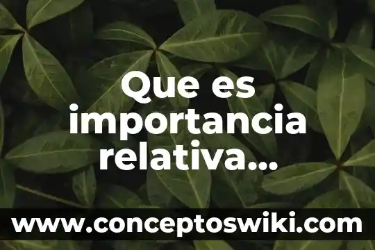 Que es dualidad relativa en derecho 7 Que es importancia relativa auditoria