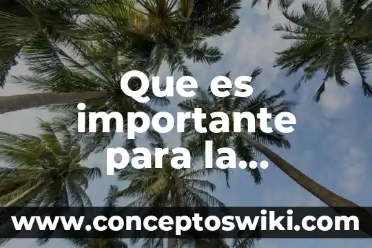 Sabemos lo importante que es 4 Que es importante para la apertura de una empresa