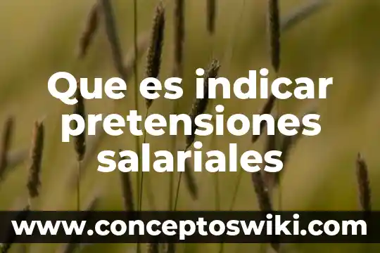Indicar que es una representación mental 5 Que es indicar pretensiones salariales