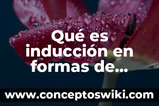 Qué es cuerpo en hebreo 6 Qué es inducción en formas de electrizar un cuerpo