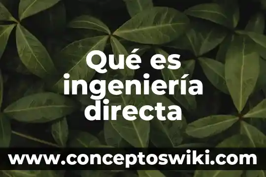 Que es ingenieria e software 7 Qué es ingeniería directa