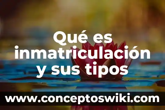 Que es una paremia y sus tipos 7 Qué es inmatriculación y sus tipos