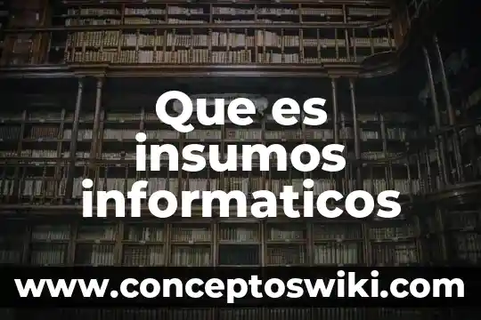 Qué es insumos y servicios 4 Que es insumos informaticos