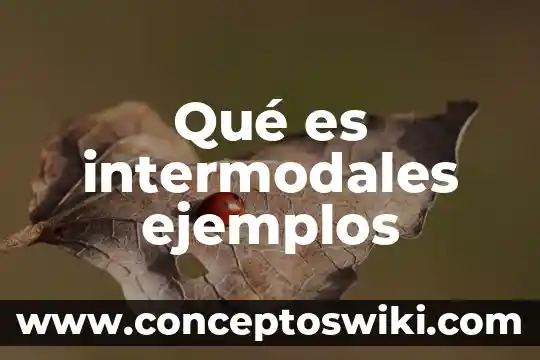 Que es etimología y sus ejemplos 8 Qué es intermodales ejemplos
