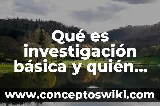 Que es decicion y tipos de decicion 8 Qué es investigación básica y quién la realiza