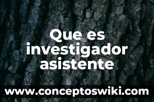 ¿Qué es un asistente personal de escuelas? 3 Que es investigador asistente